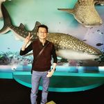 Manny Chan - @mchan58 - Instagram