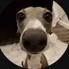 MannyChanUwU - @mannychan.uwu - TikTok
