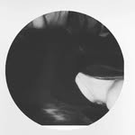Manny Corte - @mannycortes635 - Instagram