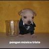 Manny Cortes - @mannycortesan - TikTok
