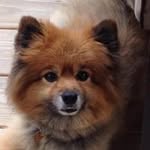 Manny DaSilva - @manny_dasilva - Instagram