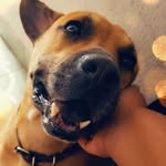 Manny ferrer - @mannyferreer - Instagram