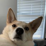 Manny Patel - @nb8c.manny - Instagram
