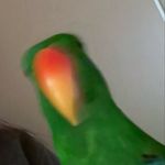 Manuel Guzman - @manny.rojas_ - Instagram
