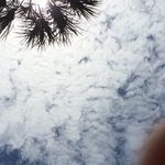Manny - @manny_salas_ - Instagram