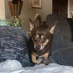 Manny Suarez - Facebook