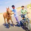 MANOHAR__SINGH - @singh_manohar - TikTok