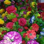 Manoj Banerjee - Facebook