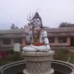 Manoj Banerjee - @manojbanerjee379 - Instagram