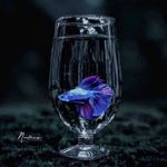 Manoj Jacob - @manoj_jacob__ - Instagram