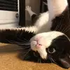 Manoj Nandi - @manoj.nandi0 - TikTok