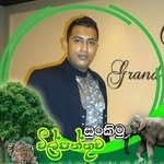 Manoj Perera - @manojperera85 - Instagram