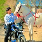 Manoj Singh Gohana - @mr_manoj_rajput_4172 - Instagram