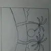 Manoj Sinha - @manojsinha723 - TikTok