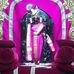Manoj Solanki - Facebook