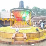 Manoj Soman - @manojsoman58 - Instagram