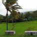 Manoj Soman - Facebook