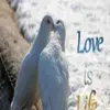 Manoj Sood - @manojsood42 - TikTok