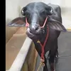 Manoj Tomar - @manojtomar740 - TikTok