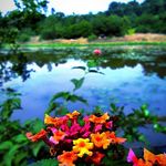 Manoj S Warrier - @warrier.m - Instagram