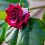Manojit Sarkar - @manojit3606 - Instagram
