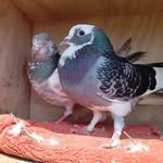 manoj kumar desai - @manojkumardesai77 - Instagram