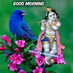manojkumar desai - @manojkumar.desai - Instagram