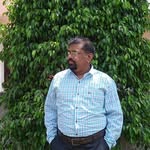 Manojkumar Desai - @desai_manojkumar - Instagram