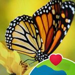 Manola Perez - Facebook