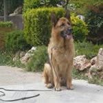 Manolis Kasotakis - @manoliskasotakis - Instagram