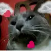 XD - @manolito_manuel - TikTok