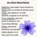 Manolito Miranda - @mirandamanolito - Instagram
