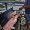 Manolito Muñoz - @manolito.muoz4 - TikTok