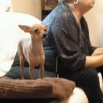Manolo Fernández Alfonso - @manolofernandezalfonso - Instagram