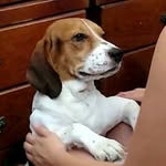 Manolo Alonzo - @manoloalonzo_ - Instagram