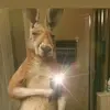 Manolo Álvarez - @manololvarez44 - TikTok
