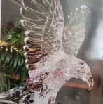Manolo Bernardo - Facebook