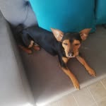 Manolo Bravo - @manolo.bravo.33886 - Instagram