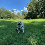 Manolo Calderon - @manolo.calderon.357 - Instagram