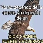 Manolo Calderon - @calderon_manolo - Instagram