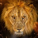 manolo casanova - @casanova_manolo - Instagram
