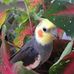 Manolo Castro - Facebook
