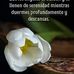 Manolo Castro - Facebook