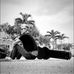 Manolo Castro Music - Facebook