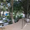 manolocastro - @user373259120250 - TikTok