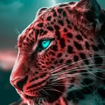 Manolo Cisneros - @manolo.cisneros.104 - Instagram