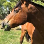 Manolo Fernandez - @manolo.fernandez66 - Instagram