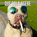 Manolo Guillen - @manolo.guillen - Instagram