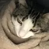 Manolo Guillén - @manolo_cabeza_bolo - TikTok