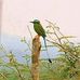 Manolo Hernandez - Facebook